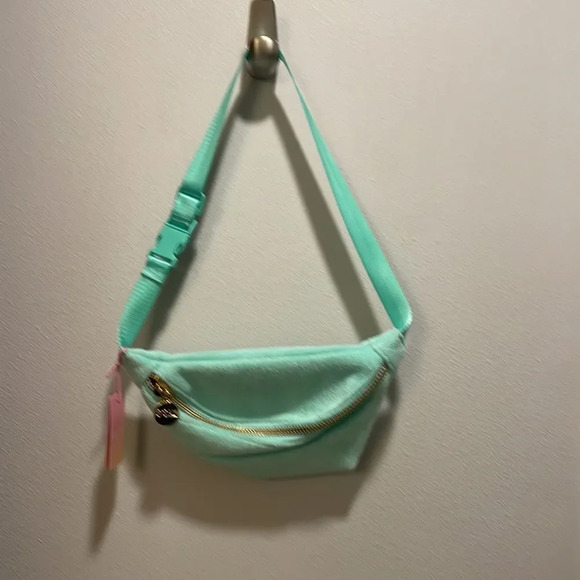 Nwt Stoney Clover Lane for Target mint green Fanny pack - Picture 2 of 9